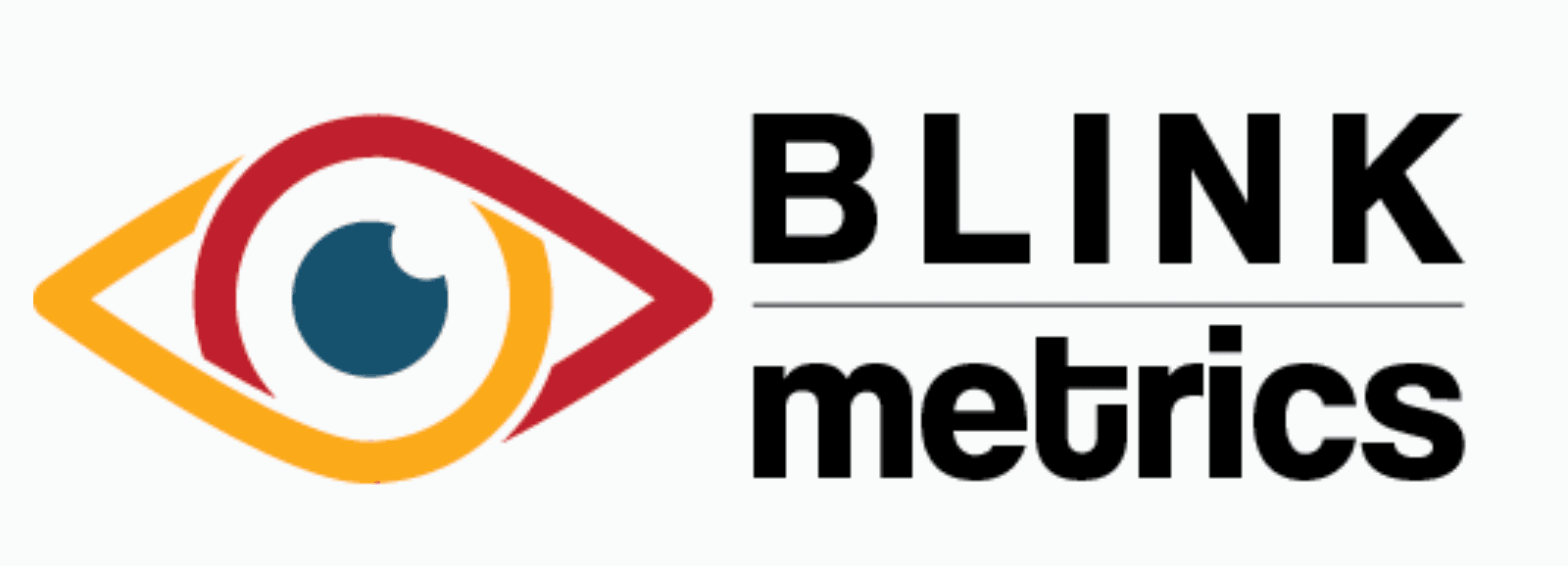BlinkMetrics logo