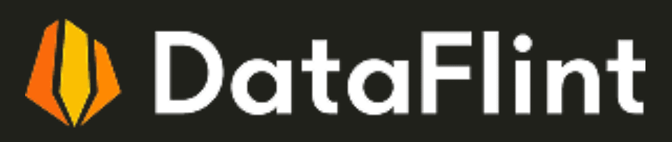 Dataflint logo